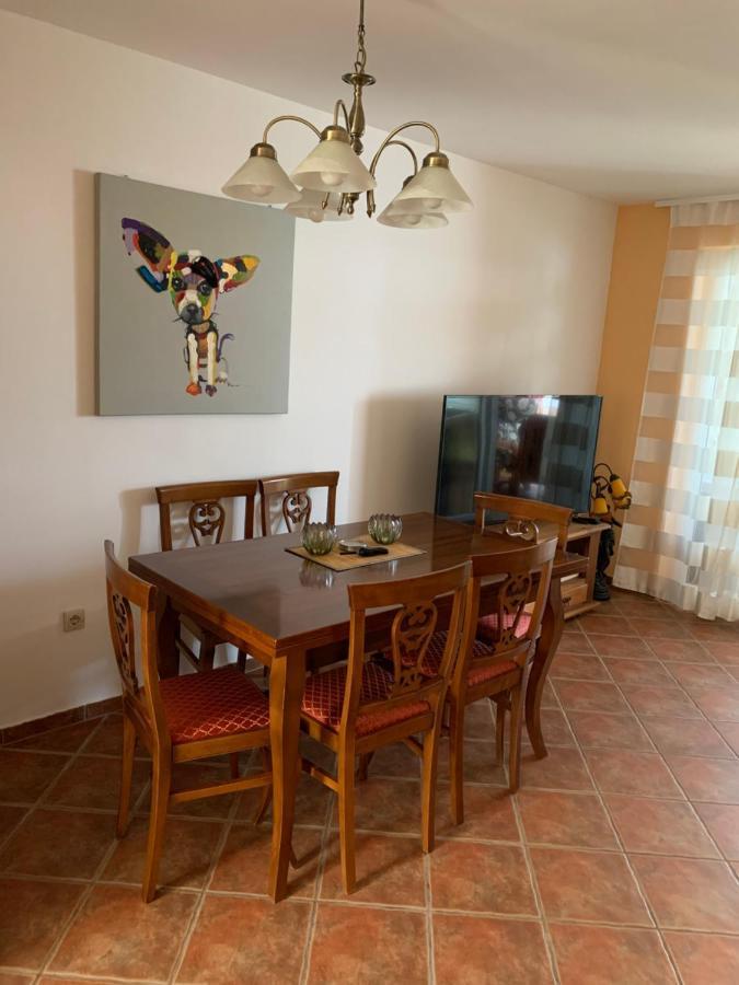 Haus Sunshine Novigrad (Istria) Exterior foto