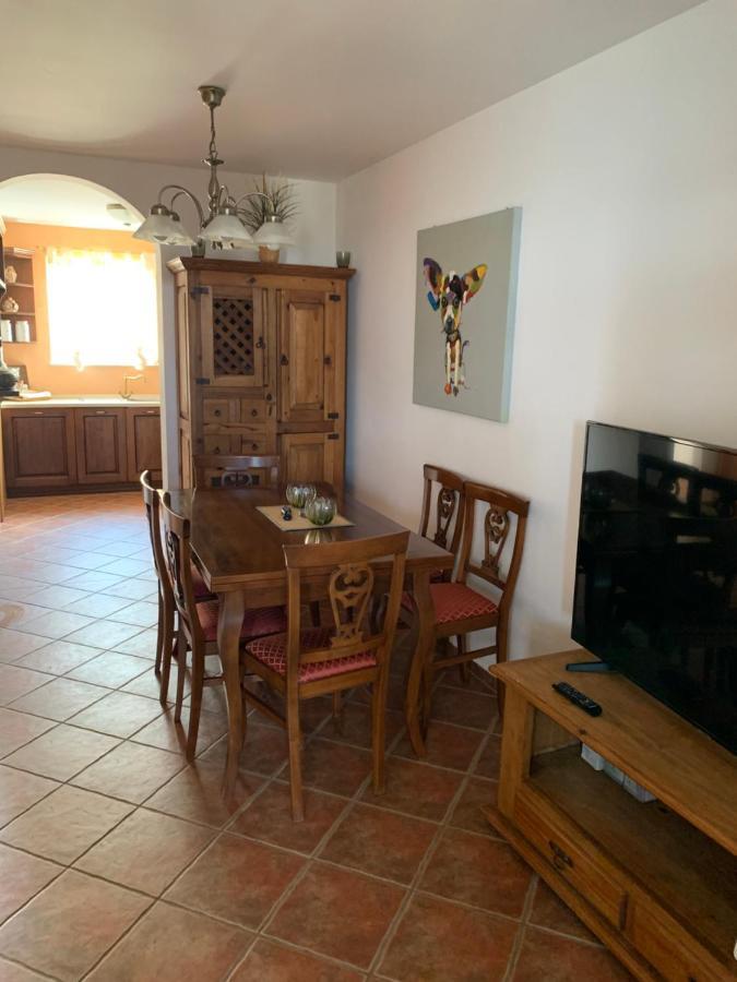 Haus Sunshine Novigrad (Istria) Exterior foto